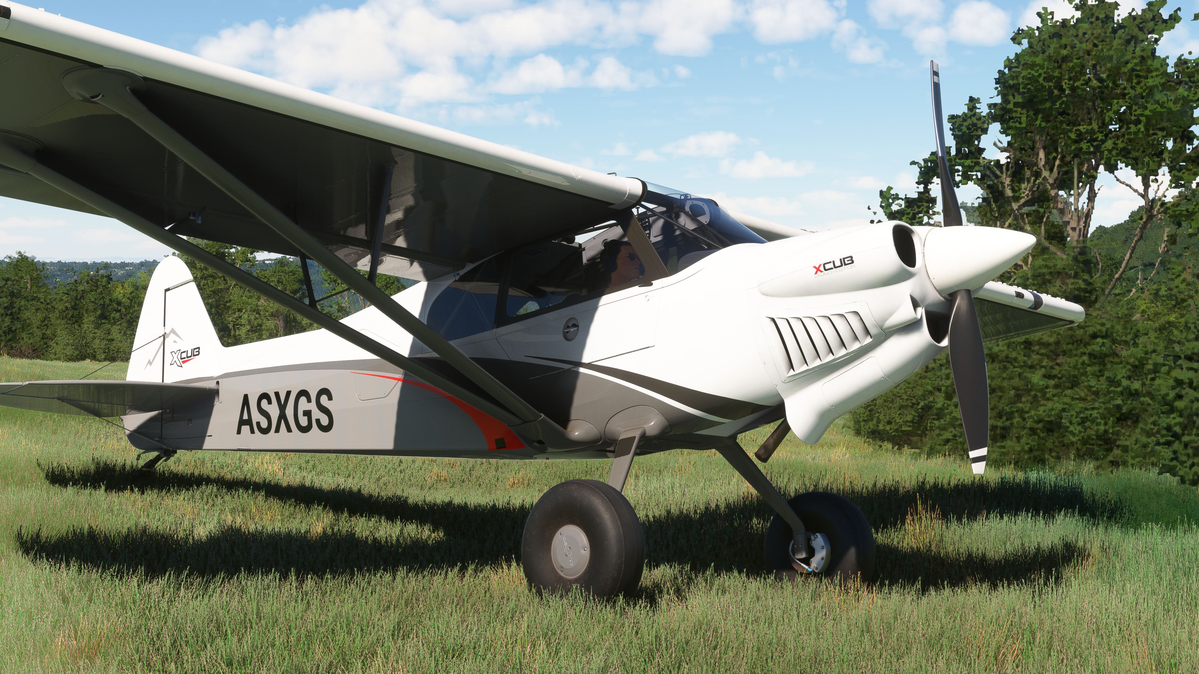 Microsoft Flight Simulator 2024 - Imagen 10